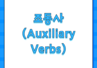조동사 (Auxiliary Verbs)