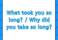 What took you so long? / Why did you take so long?