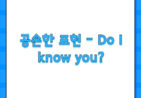공손한 표현 - Do I know you?