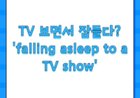 TV 보면서 잠들다? 'falling asleep to a TV show'