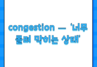 congestion — ‘너무 몰려 막히는 상태’