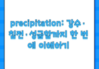 precipitation: 강수·침전·성급함까지 한 번에 이해하기