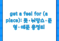 get a feel for (a place): 뜻·뉘앙스·문형·예문 총정리