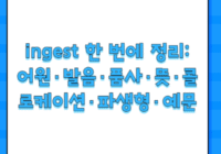 ingest 한 번에 정리: 어원·발음·품사·뜻·콜로케이션·파생형·예문