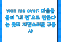 won me over: 마음을 돌려 “내 편”으로 만든다는 뜻의 자연스러운 구동사