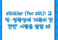 stickler (for sth): 규칙·정확성에 ‘지독히 깐깐한’ 사람을 말할 때