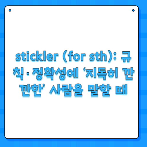 stickler (for sth): 규칙·정확성에 ‘지독히 깐깐한’ 사람을 말할 때