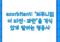 exorbitant: “터무니없이 비싼·과한”을 격식 있게 말하는 형용사