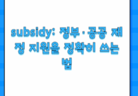 subsidy: 정부·공공 재정 지원을 정확히 쓰는 법