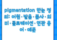 pigmentation 한눈 정리: 어원·발음·품사·의미·콜로케이션·연관 용어·예문