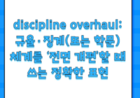 discipline overhaul: 규율·징계(또는 학문) 체계를 ‘전면 개편’할 때 쓰는 정확한 표현