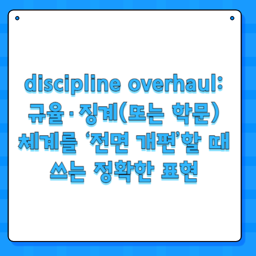 discipline overhaul: 규율·징계(또는 학문) 체계를 ‘전면 개편’할 때 쓰는 정확한 표현