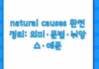 natural causes 완전 정리: 의미·문법·뉘앙스·예문