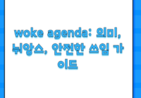 woke agenda: 의미, 뉘앙스, 안전한 쓰임 가이드