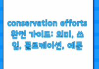 conservation efforts 완전 가이드: 의미, 쓰임, 콜로케이션, 예문