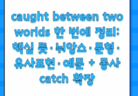caught between two worlds 한 번에 정리: 핵심 뜻·뉘앙스·문형·유사표현·예문 + 동사 catch 확장