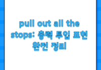 pull out all the stops: 총력 투입 표현 완전 정리