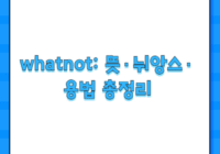 whatnot: 뜻·뉘앙스·용법 총정리
