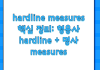 hardline measures 핵심 정리: 형용사 hardline + 명사 measures