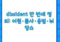 dissident 한 번에 정리: 어원·품사·용법·뉘앙스