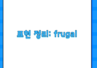 표현 정리: frugal