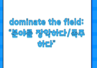 dominate the field: “분야를 장악하다/독주하다”