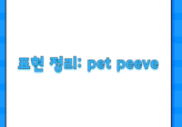 표현 정리: pet peeve