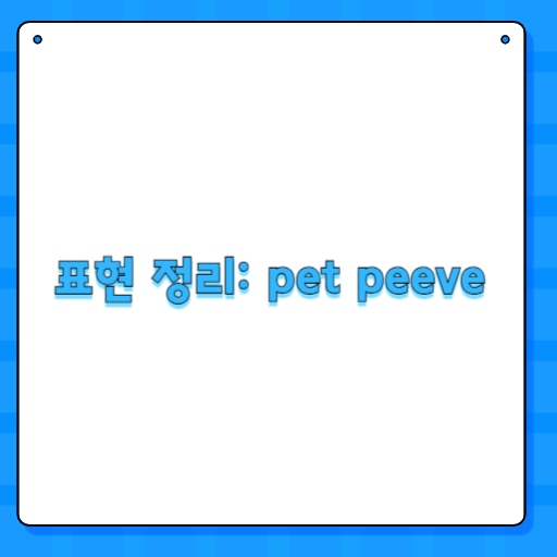 표현 정리: pet peeve