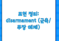 표현 정리: disarmament (군축/무장 해제)
