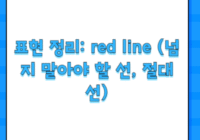 표현 정리: red line (넘지 말아야 할 선, 절대선)