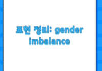 표현 정리: gender imbalance