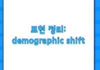 표현 정리: demographic shift