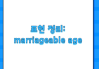 표현 정리: marriageable age
