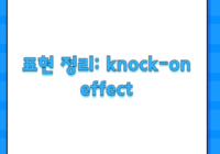 표현 정리: knock-on effect