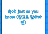숙어: just so you know (참고로 말하자면)