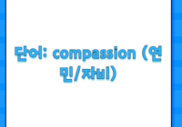 단어: compassion (연민/자비)