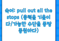숙어: pull out all the stops (총력을 기울이다/가능한 수단을 몽땅 동원하다)