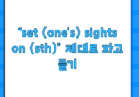 “set (one’s) sights on (sth)” 제대로 파고들기
