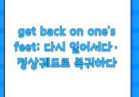 get back on one’s feet: 다시 일어서다·정상궤도로 복귀하다
