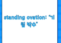 standing ovation: “기립 박수”