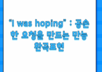 “I was hoping” : 공손한 요청을 만드는 만능 완곡표현