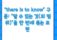 “there is to know” 구문: “알 수 있는 것(의 범위)”을 한 번에 묶는 표현