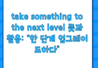 take something to the next level 뜻과 활용: “한 단계 업그레이드하다”