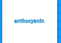 anthocyanin
