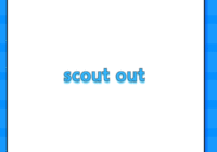 scout out