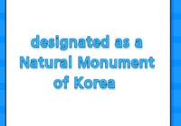 designated as a Natural Monument of Korea