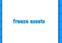 freeze assets