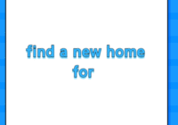 find a new home for ~