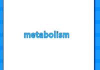 metabolism