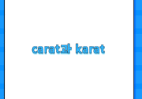 carat과 karat